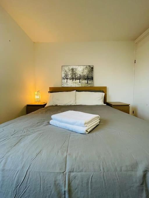 Lovely Duplex Apartment In Edinburgh City Centre Εξωτερικό φωτογραφία